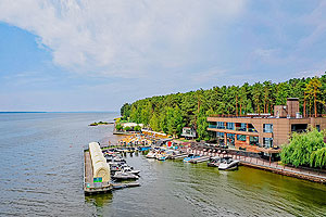 Под парусами сосен